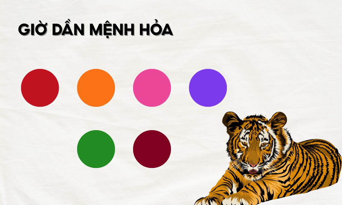 Giờ Dần là mấy giờ? Giải mã nhanh vận mệnh người sinh vào giờ Dần giờ canh dần là mấy giờ