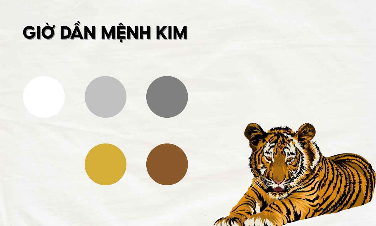 Giờ Dần là mấy giờ? Giải mã nhanh vận mệnh người sinh vào giờ Dần giờ dần là lúc mấy giờ