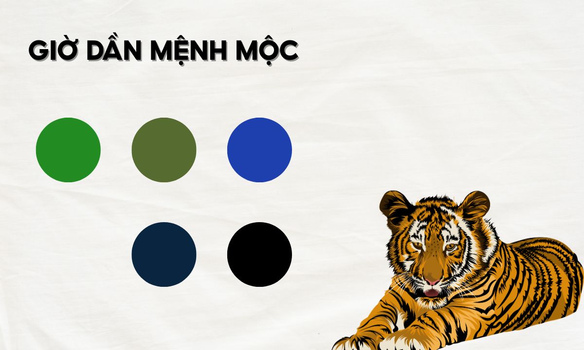Giờ Dần là mấy giờ? Giải mã nhanh vận mệnh người sinh vào giờ Dần giờ dần là từ mấy giờ đến mấy giờ
