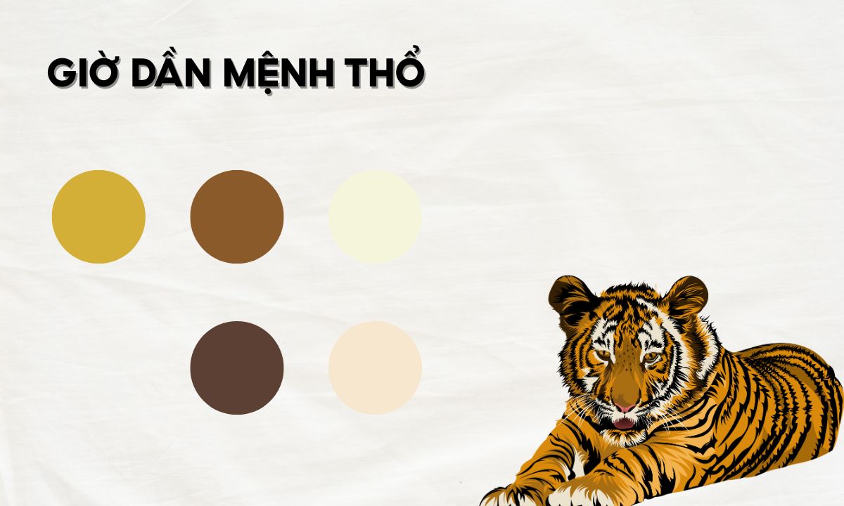 Giờ Dần là mấy giờ? Giải mã nhanh vận mệnh người sinh vào giờ Dần giờ nhâm dần là mấy giờ