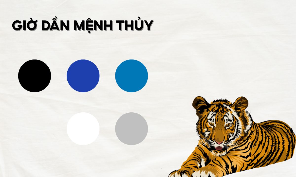 Giờ Dần là mấy giờ? Giải mã nhanh vận mệnh người sinh vào giờ Dần giờ dần là mấy giờ trong ngày