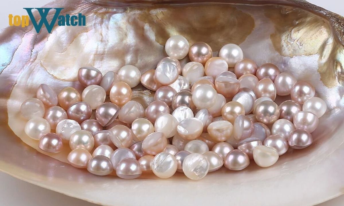 ngọc trai tiếng anh là gì