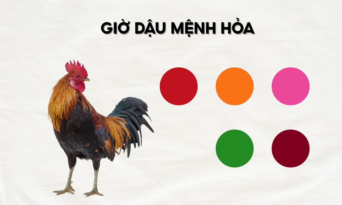 Giờ Dậu là mấy giờ? Luận đoán số mệnh người sinh giờ Dậu theo 12 con giáp chánh canh dậu là mấy giờ