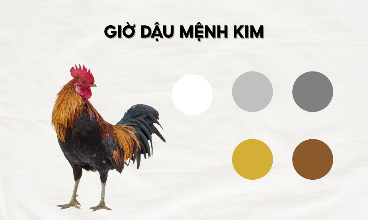 Giờ Dậu là mấy giờ? Luận đoán số mệnh người sinh giờ Dậu theo 12 con giáp giờ tý sửu mão ngọ thân dậu là mấy giờ