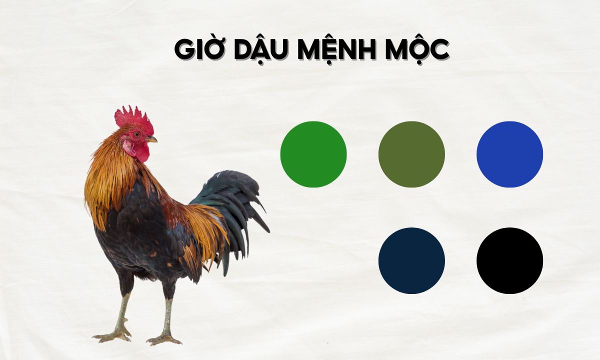 Giờ Dậu là mấy giờ? Luận đoán số mệnh người sinh giờ Dậu theo 12 con giáp giờ mão ngọ mùi dậu là mấy giờ