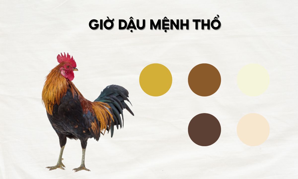 Giờ Dậu là mấy giờ? Luận đoán số mệnh người sinh giờ Dậu theo 12 con giáp giờ dậu ba khắc là mấy giờ