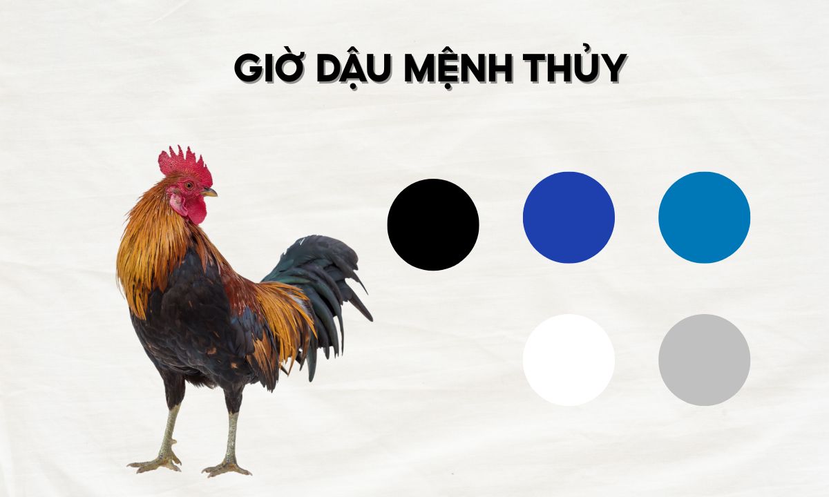 Giờ Dậu là mấy giờ? Luận đoán số mệnh người sinh giờ Dậu theo 12 con giáp giờ mão ngọ thân dậu là mấy giờ