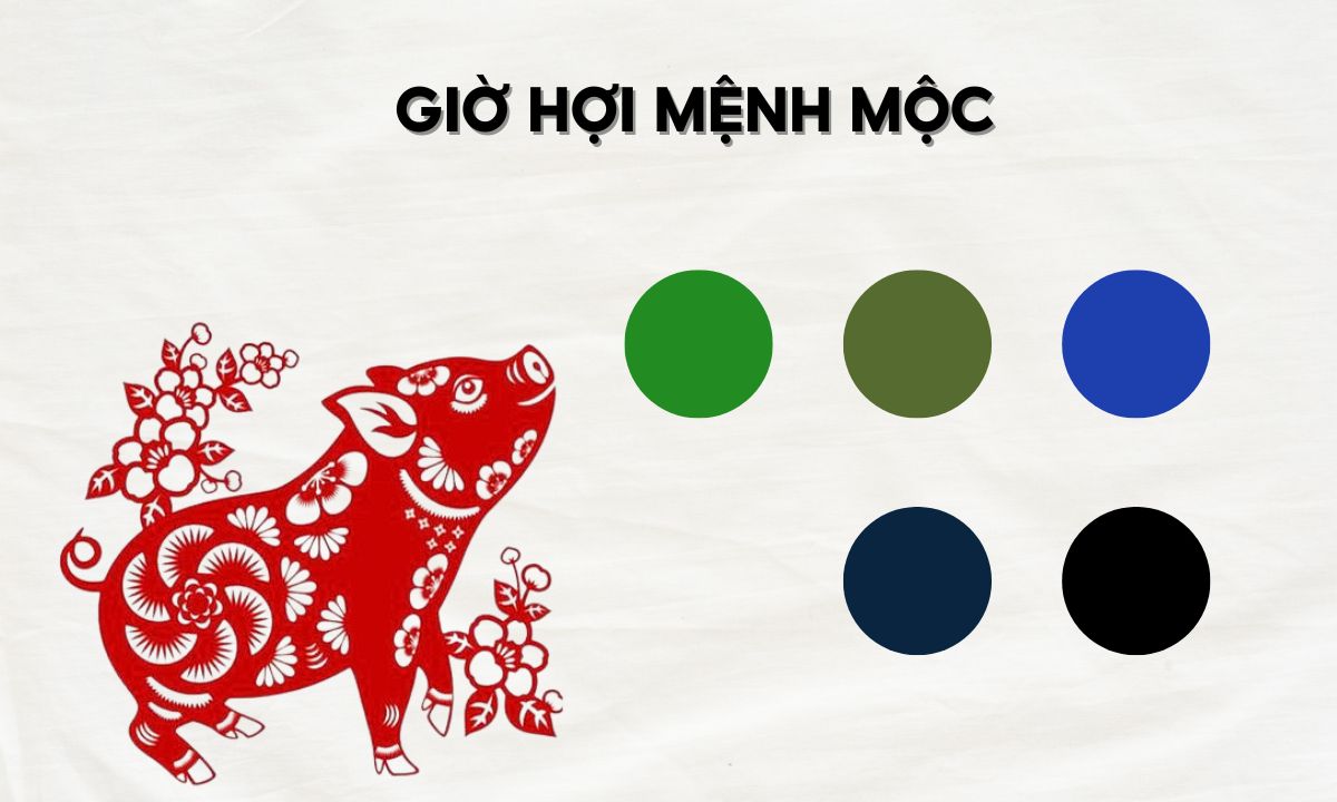 Giờ Hợi là mấy giờ? Sinh vào giờ Hợi là sướng hay khổ? giờ kỷ hợi là từ mấy giờ đến mấy giờ