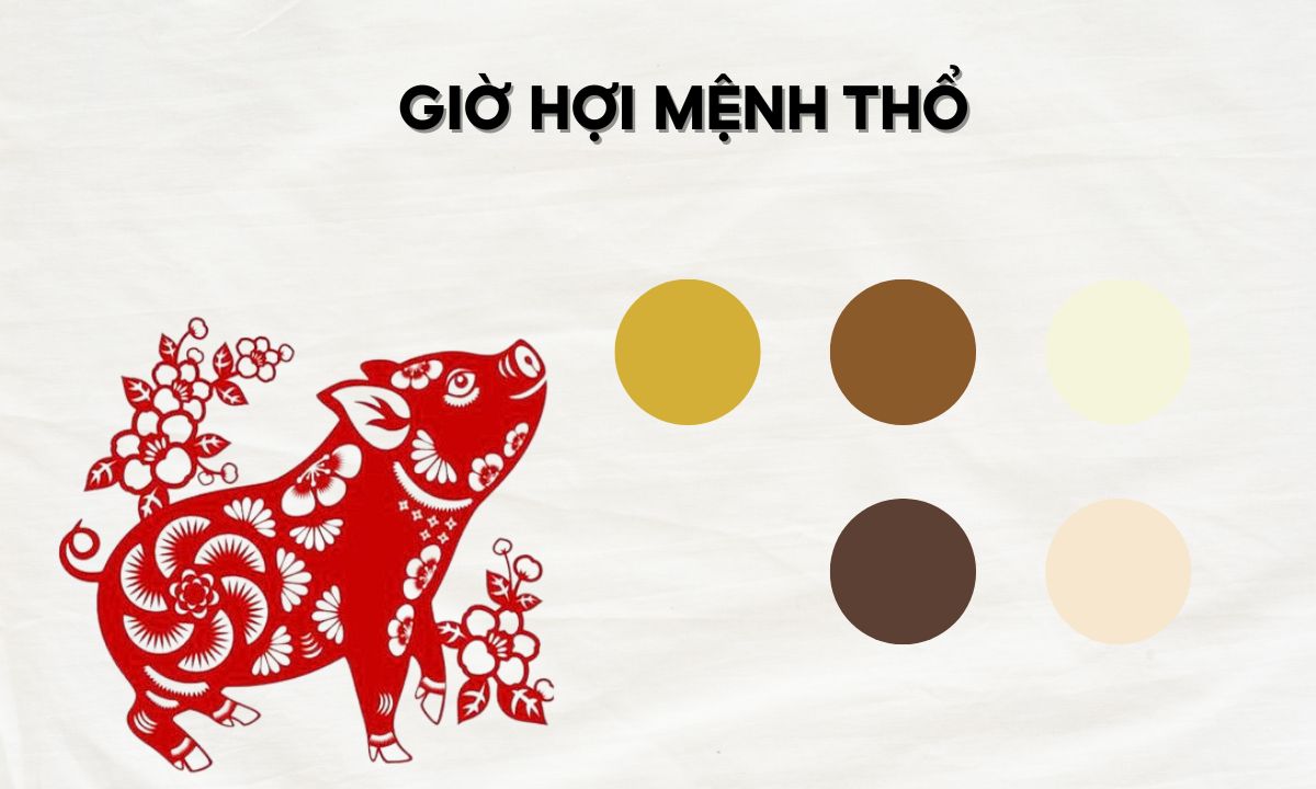 Giờ Hợi là mấy giờ? Sinh vào giờ Hợi là sướng hay khổ? giờ tỵ thân dậu hợi là mấy giờ