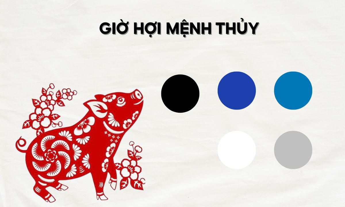 Giờ Hợi là mấy giờ? Sinh vào giờ Hợi là sướng hay khổ? giờ quý hợi là mấy giờ