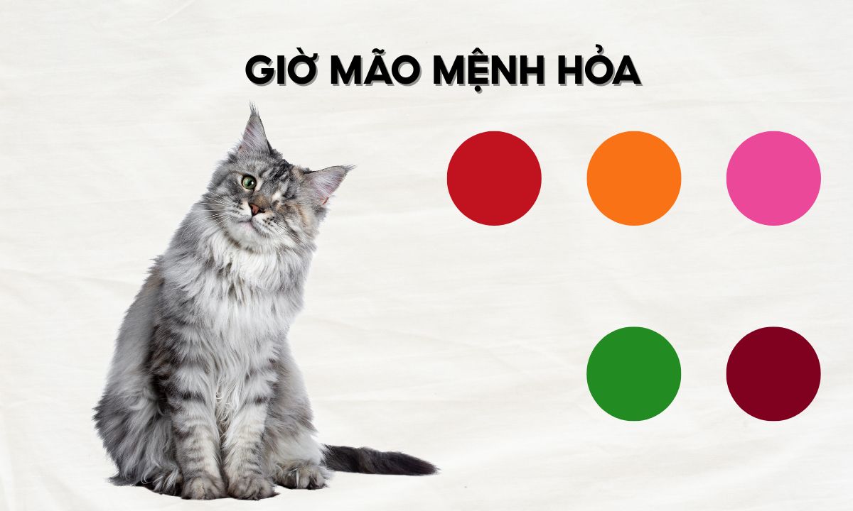 Giờ Mão là mấy giờ? Người sinh giờ Mão có điểm gì đặc biệt? nguoi sinh gio mao menh hoa