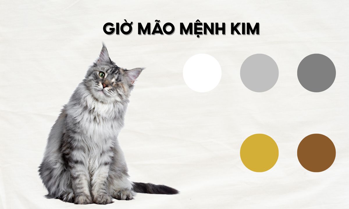 Giờ Mão là mấy giờ? Người sinh giờ Mão có điểm gì đặc biệt? giờ mão ngọ mùi dậu là mấy giờ