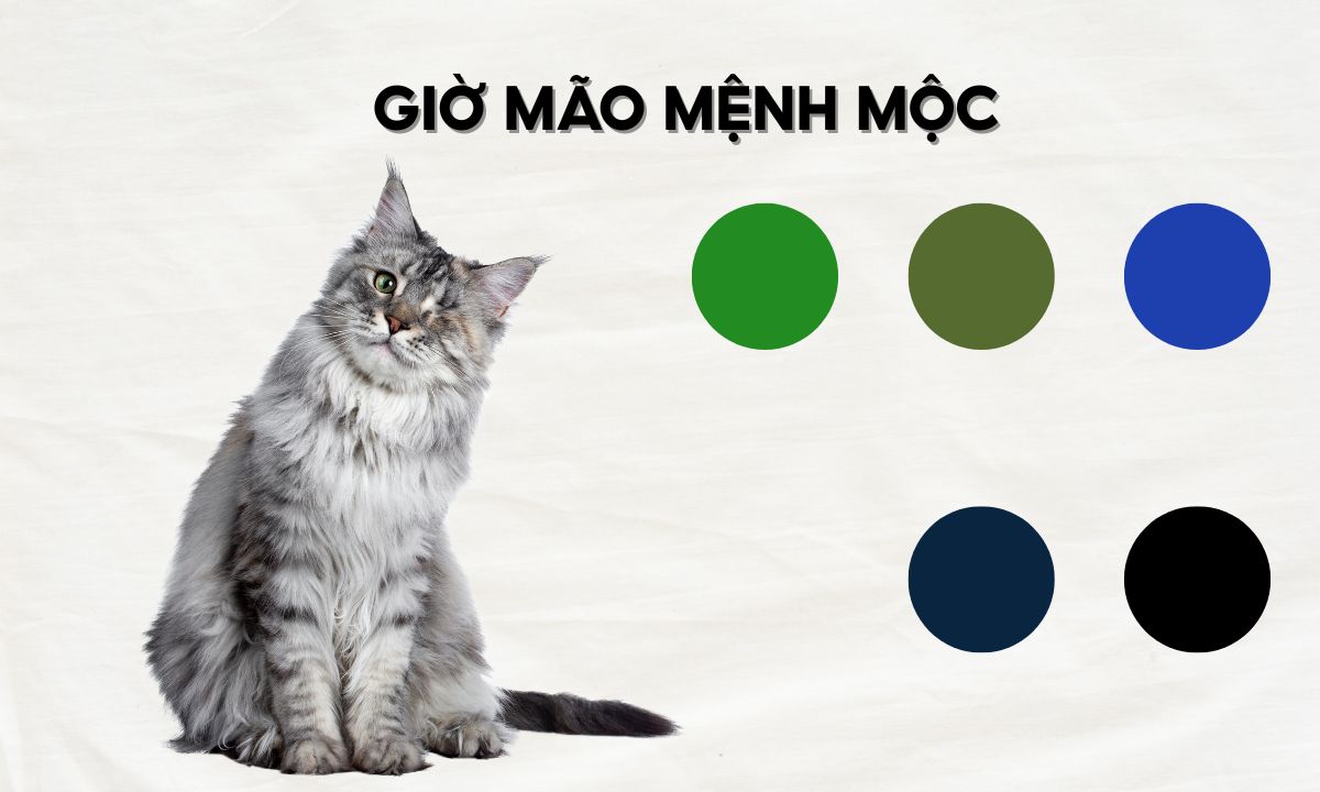 Giờ Mão là mấy giờ? Người sinh giờ Mão có điểm gì đặc biệt? giờ mão ngọ thân dậu là mấy giờ