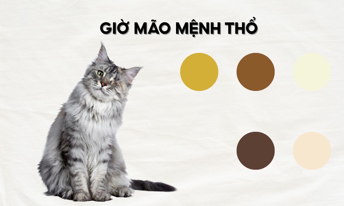 Giờ Mão là mấy giờ? Người sinh giờ Mão có điểm gì đặc biệt? nguoi sinh gio mao menh tho