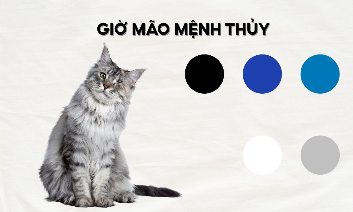 Giờ Mão là mấy giờ? Người sinh giờ Mão có điểm gì đặc biệt? giờ mão ngọ là mấy giờ