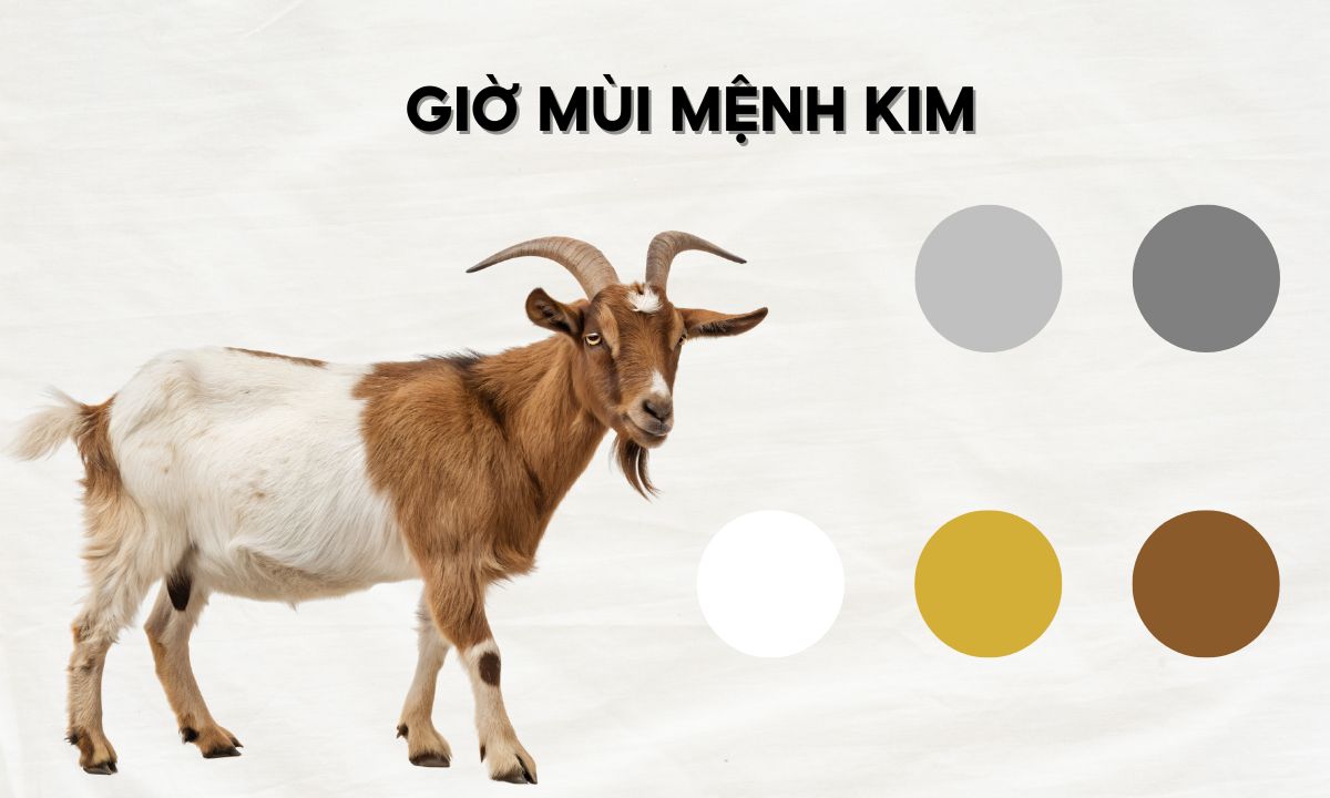 thìn tỵ mùi tuất là mấy giờ