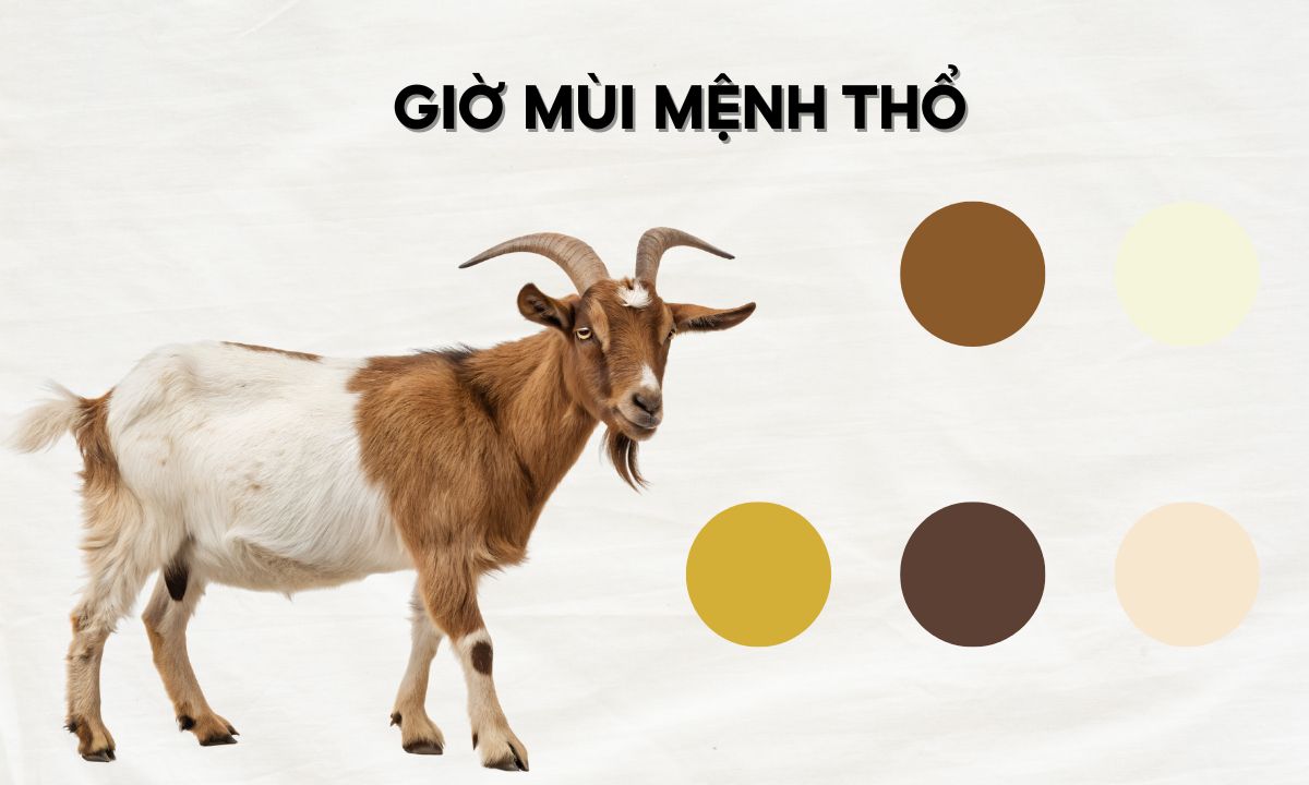 nguoi sinh gio mui menh tho