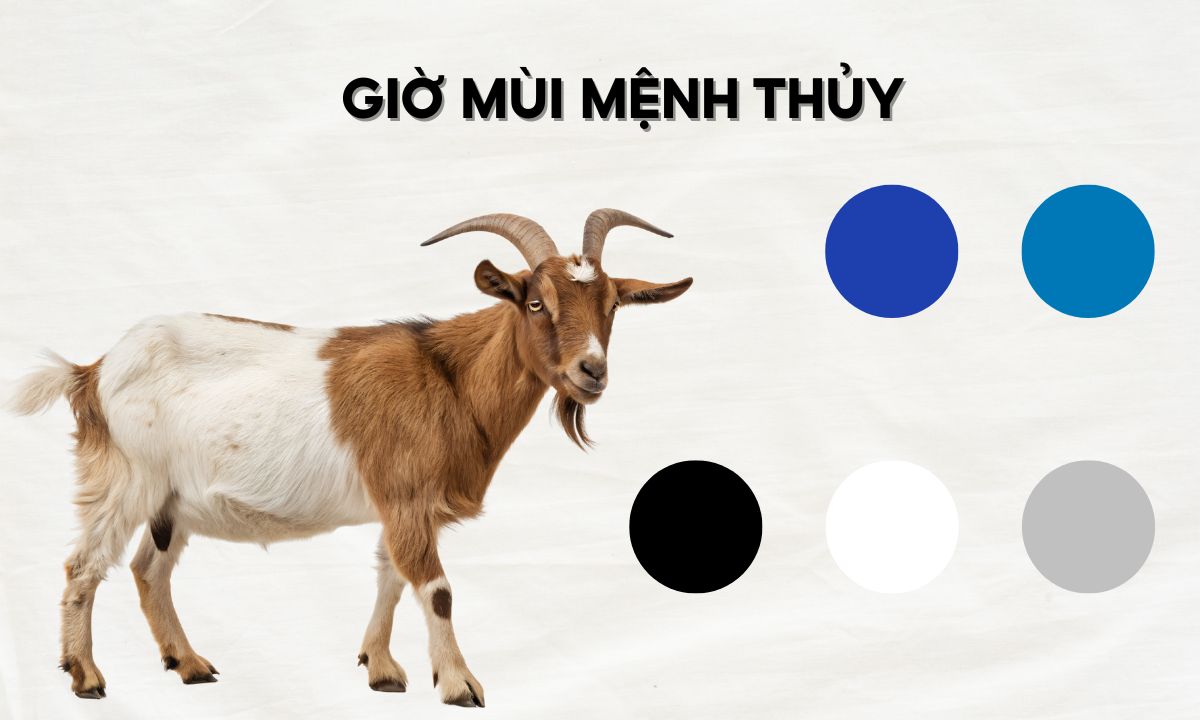 nguoi sinh gio mui menh thuy