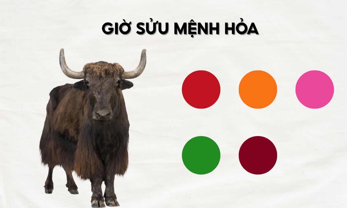 Giờ Sửu là mấy giờ? Người sinh giờ Sửu có số phận ra sao? nguoi sinh gio suu menh hoa