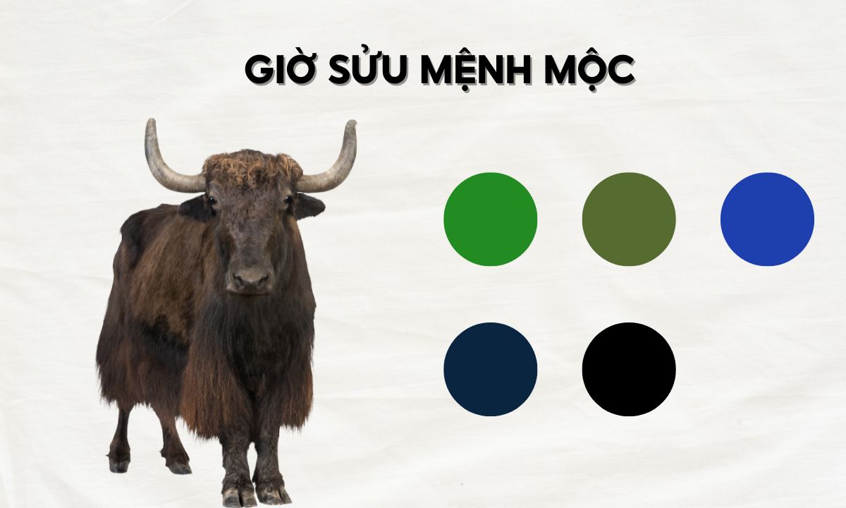 Giờ Sửu là mấy giờ? Người sinh giờ Sửu có số phận ra sao? nguoi sinh gio suu menh moc