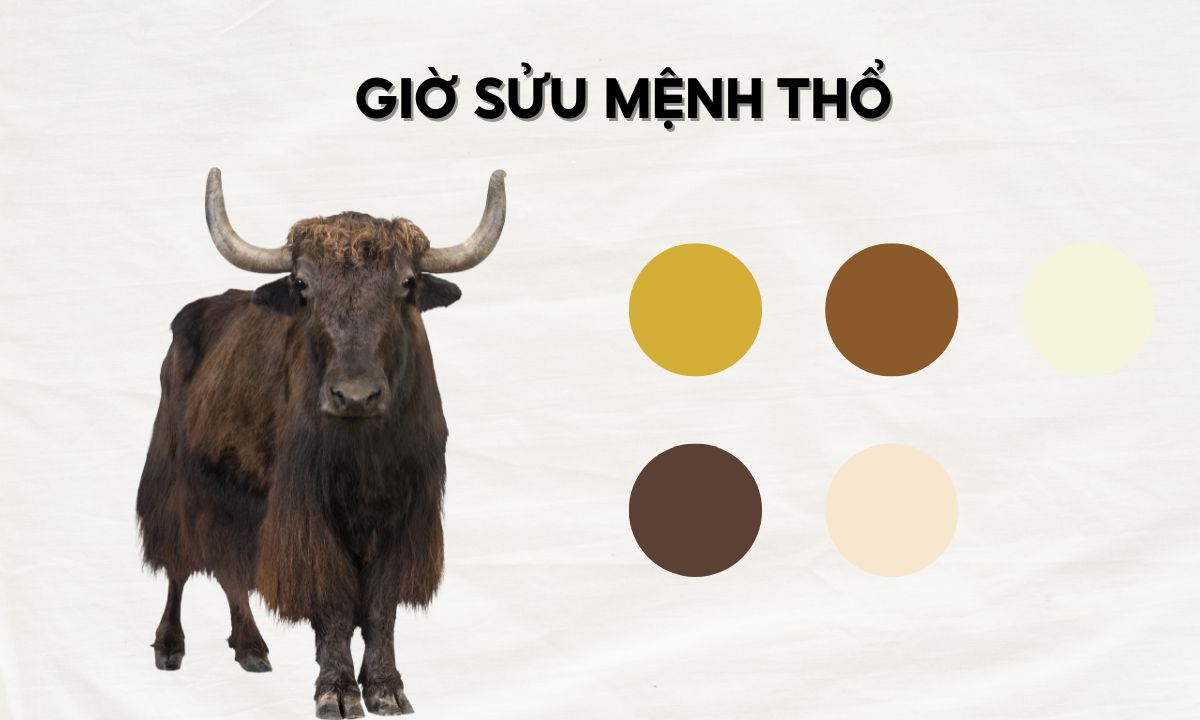 Giờ Sửu là mấy giờ? Người sinh giờ Sửu có số phận ra sao? nguoi sinh gio suu menh tho