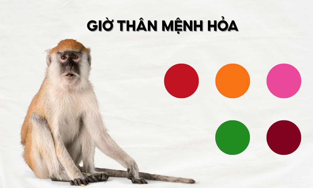 Giờ Thân là mấy giờ? Tính cách người sinh giờ Thân thế nào? giờ tỵ thân dậu hợi là mấy giờ