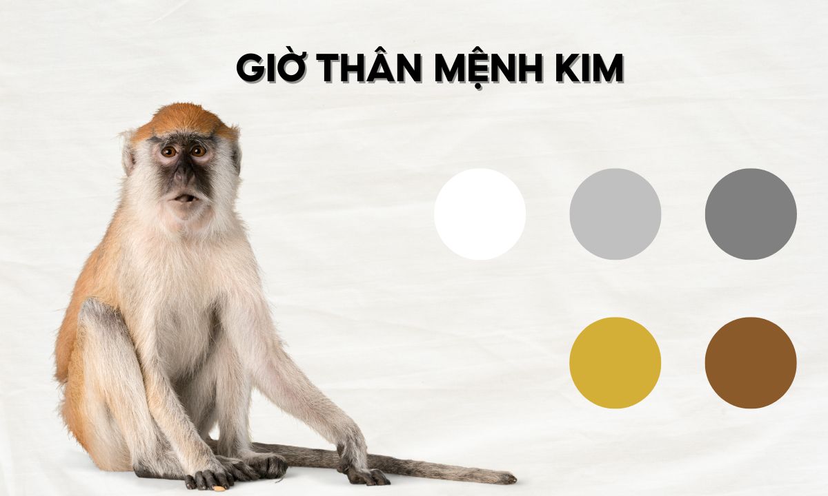 Giờ Thân là mấy giờ? Tính cách người sinh giờ Thân thế nào? giờ tý sửu mão ngọ thân dậu là mấy giờ