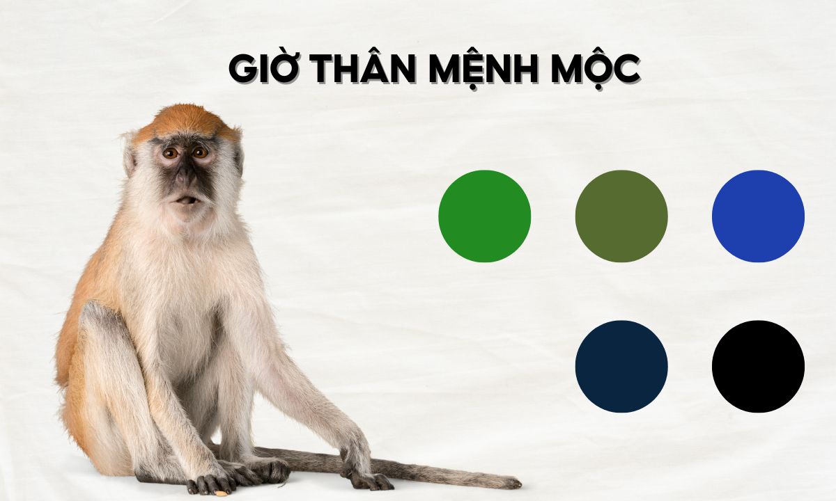 Giờ Thân là mấy giờ? Tính cách người sinh giờ Thân thế nào? giờ mão ngọ thân dậu là mấy giờ