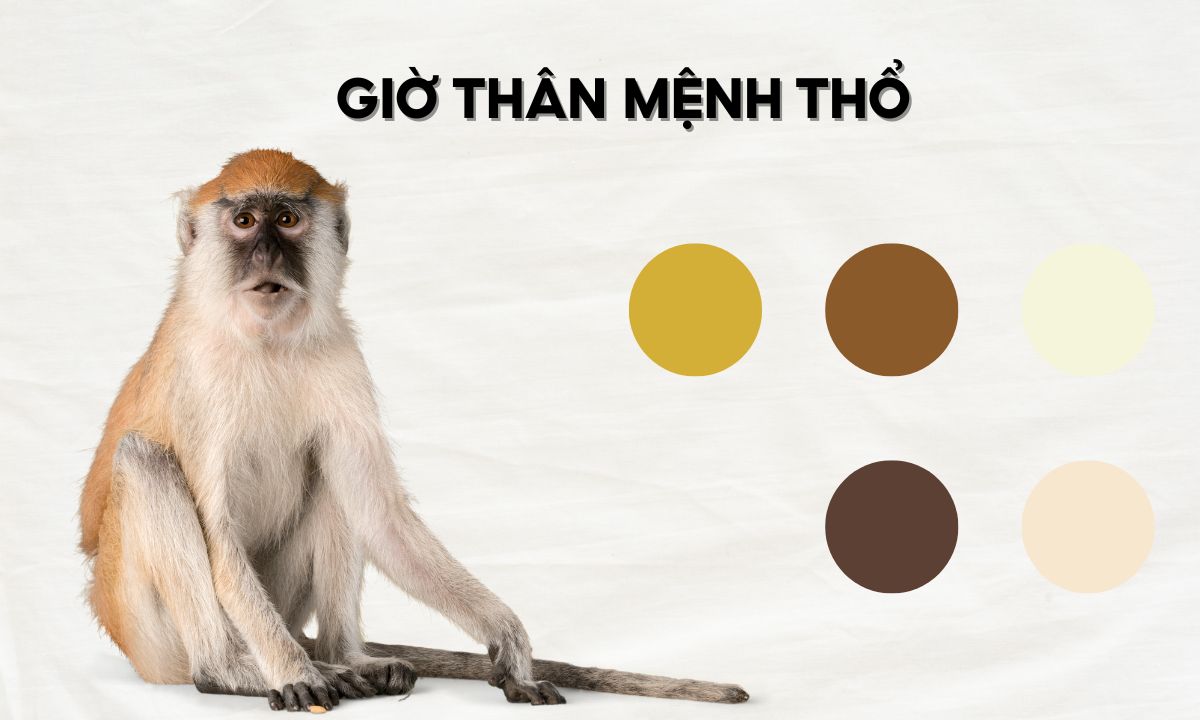 Giờ Thân là mấy giờ? Tính cách người sinh giờ Thân thế nào? giờ tỵ thân tuất hợi là mấy giờ