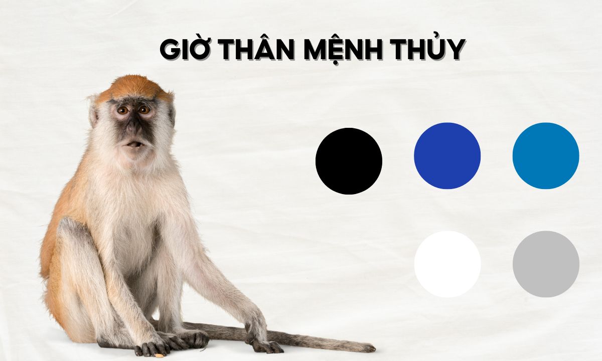 Giờ Thân là mấy giờ? Tính cách người sinh giờ Thân thế nào? giờ thân ba khắc là mấy giờ