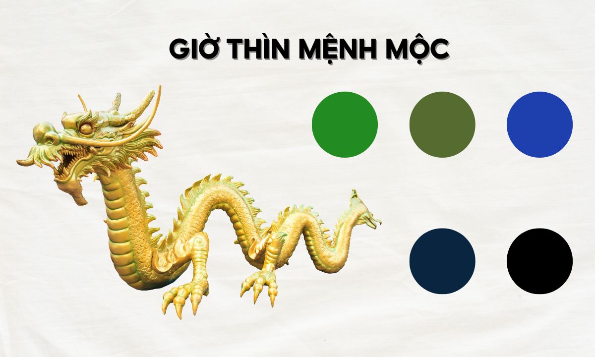 Giờ Thìn là mấy giờ? Nam nữ sinh giờ Thìn có gì đặc biệt so với giờ khác? giờ mậu thìn là mấy giờ