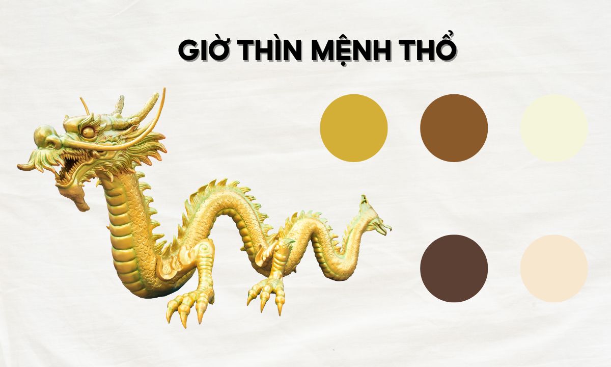 Giờ Thìn là mấy giờ? Nam nữ sinh giờ Thìn có gì đặc biệt so với giờ khác? giờ giáp thìn là mấy giờ