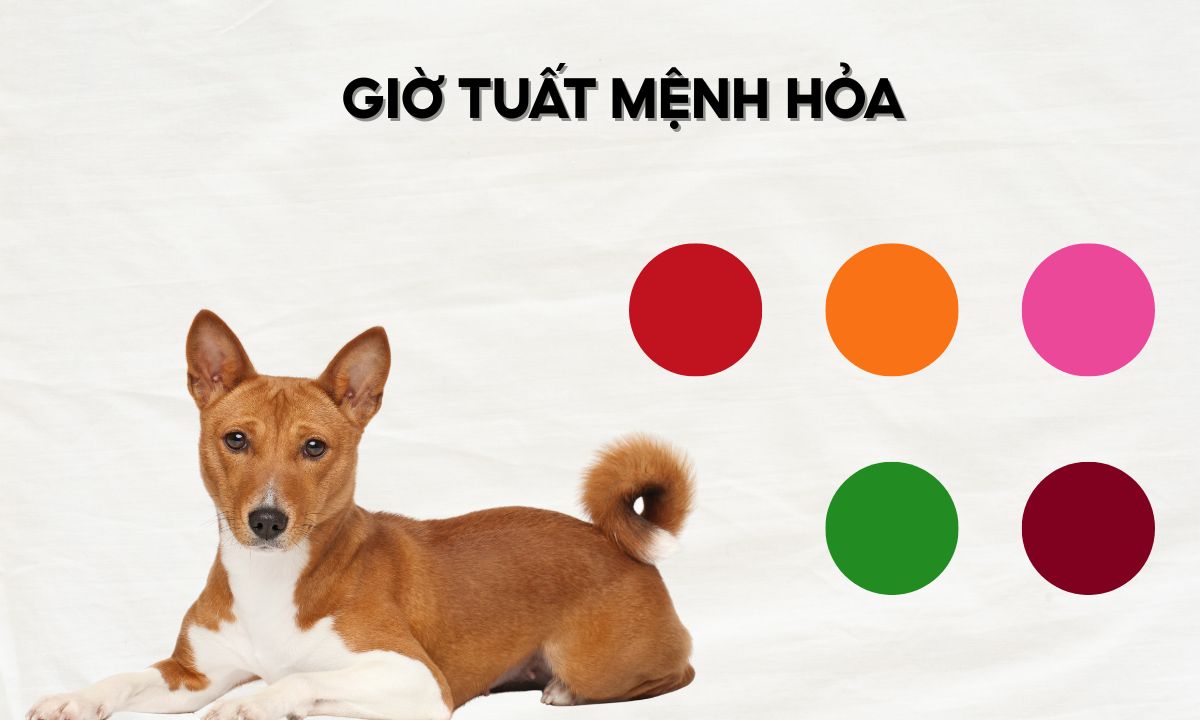 giờ tỵ thân tuất hợi là mấy giờ