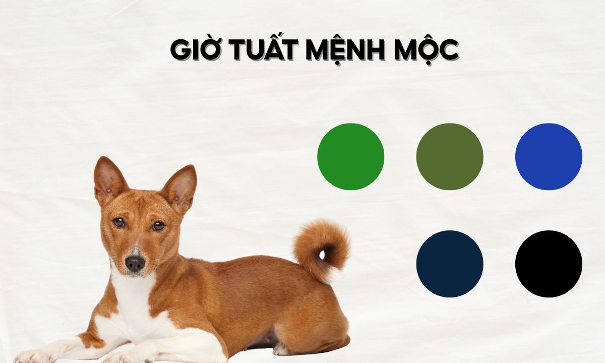 giờ mậu tuất là mấy giờ