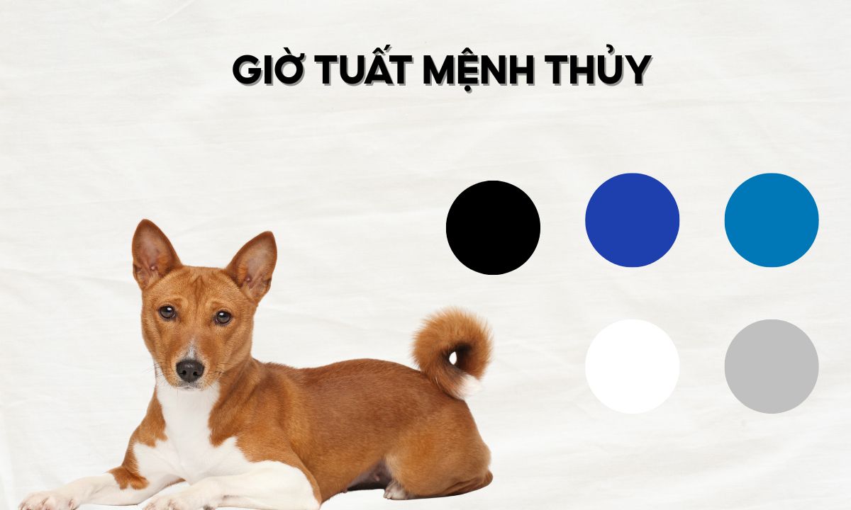 giờ nhâm tuất là mấy giờ