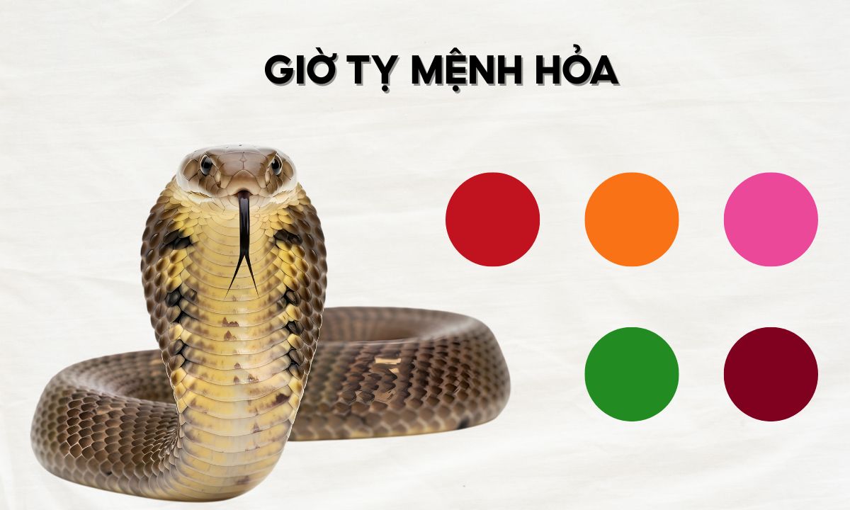 giờ tỵ thân tuất hợi là mấy giờ