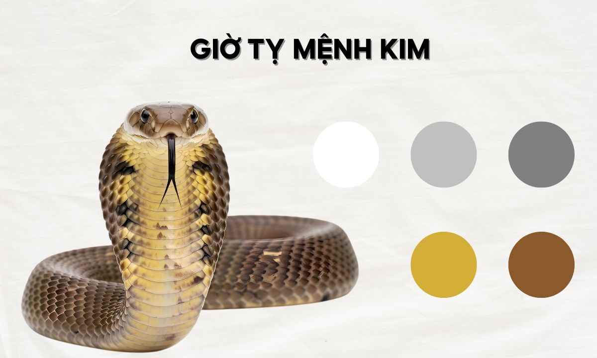 giữa giờ tỵ là mấy giờ