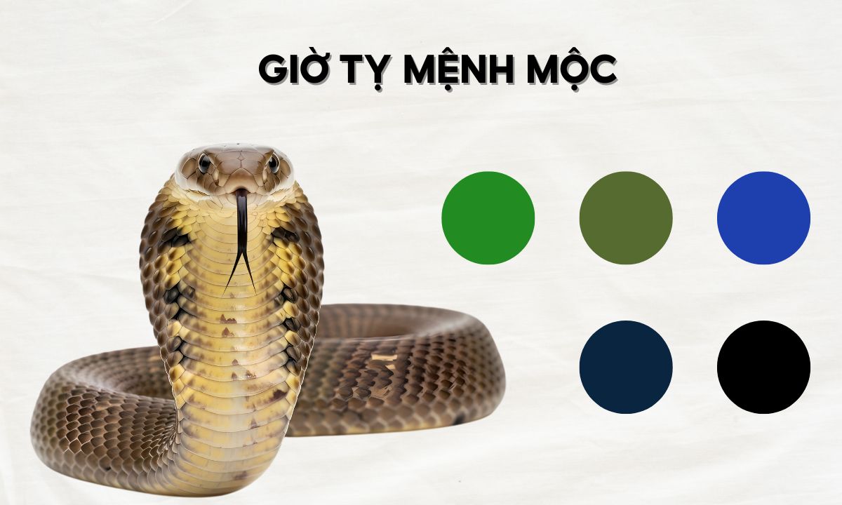 giờ nhâm tỵ là mấy giờ