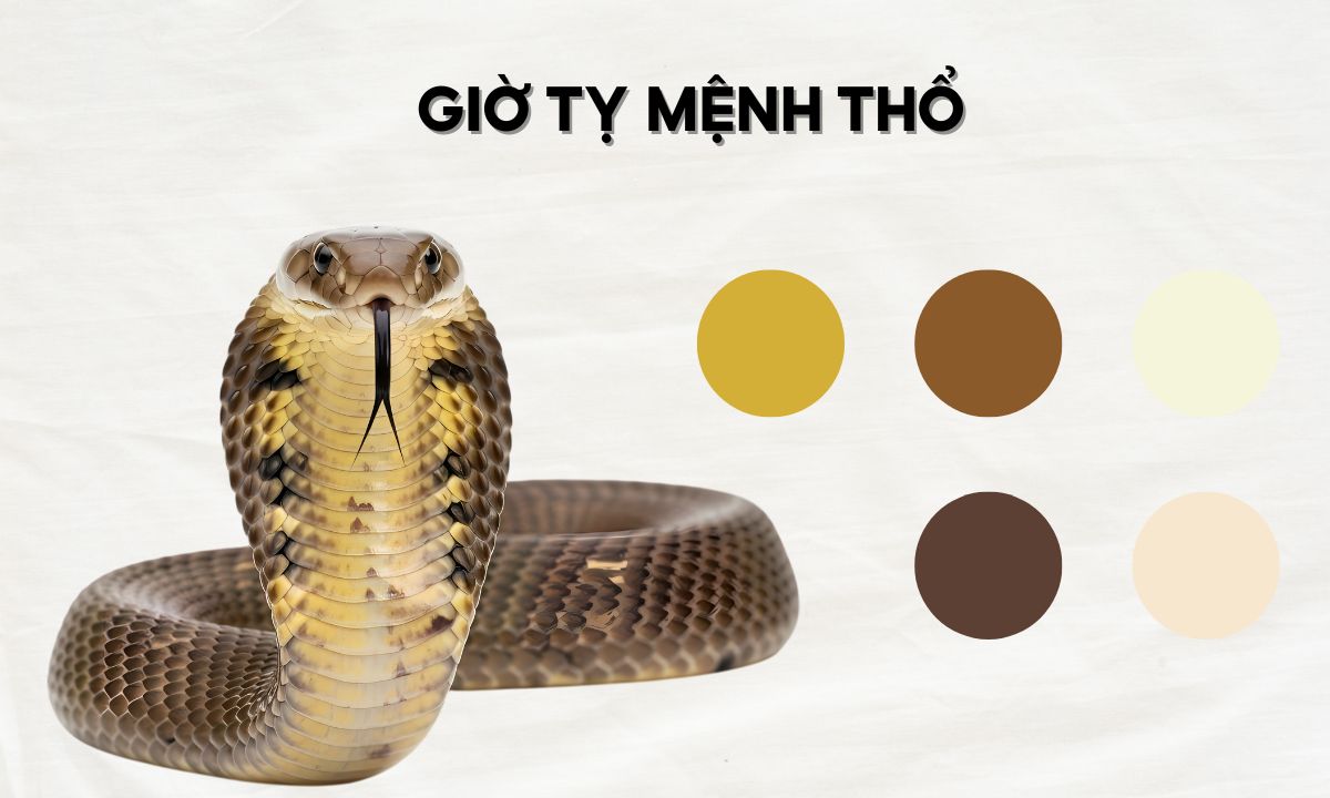 giờ tỵ trung là mấy giờ