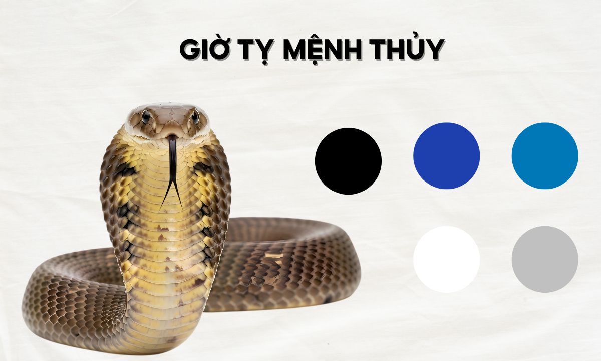 giờ tỵ thân dậu hợi là mấy giờ