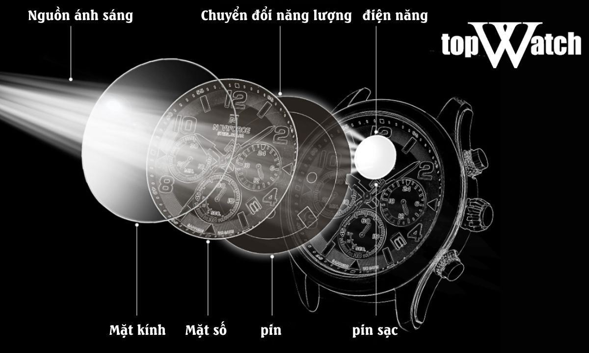 Eco-Drive là gì? Ưu nhược điểm của đồng hồ Eco-Drive eco drive citizen là gì
