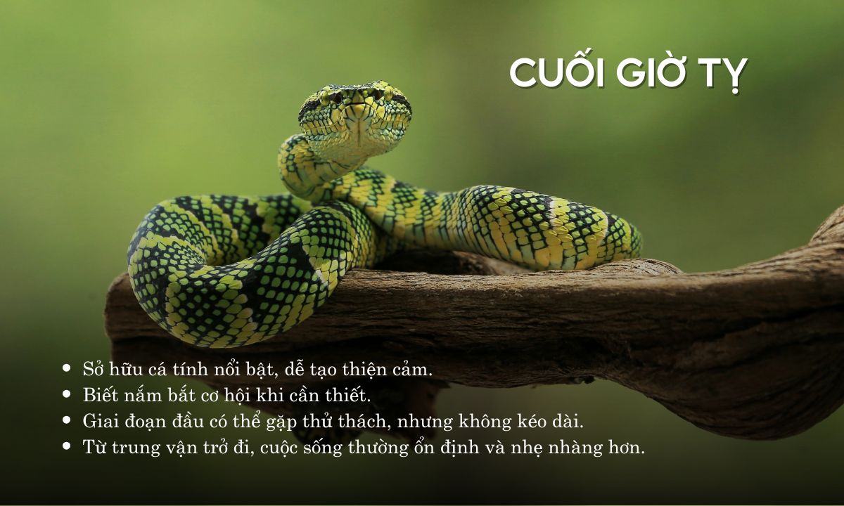 giờ tỵ là từ mấy giờ đến mấy giờ