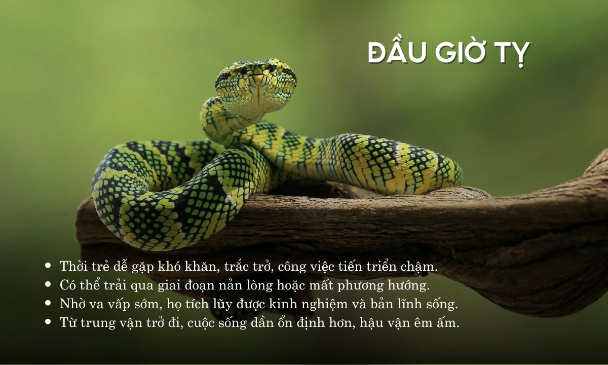 giờ tỵ là mấy giờ