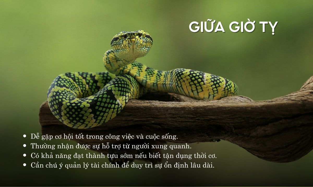 giờ tỵ là từ mấy giờ