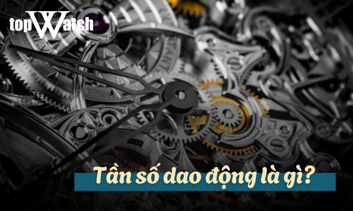 tan so dao dong la gi 1