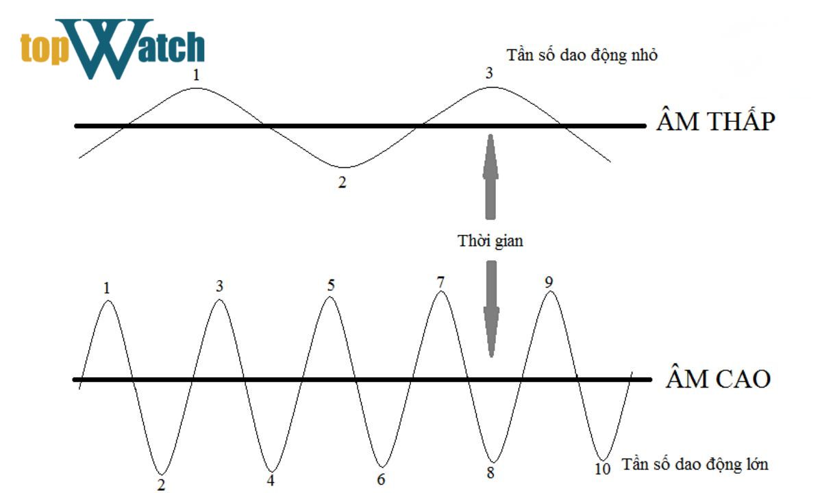 tần số dao động là gì