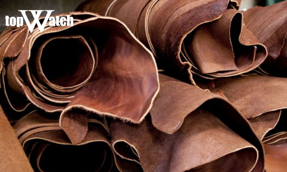 Thuộc da là gì? Có bao nhiêu loại da thuộc phổ biến? da thuộc là gì