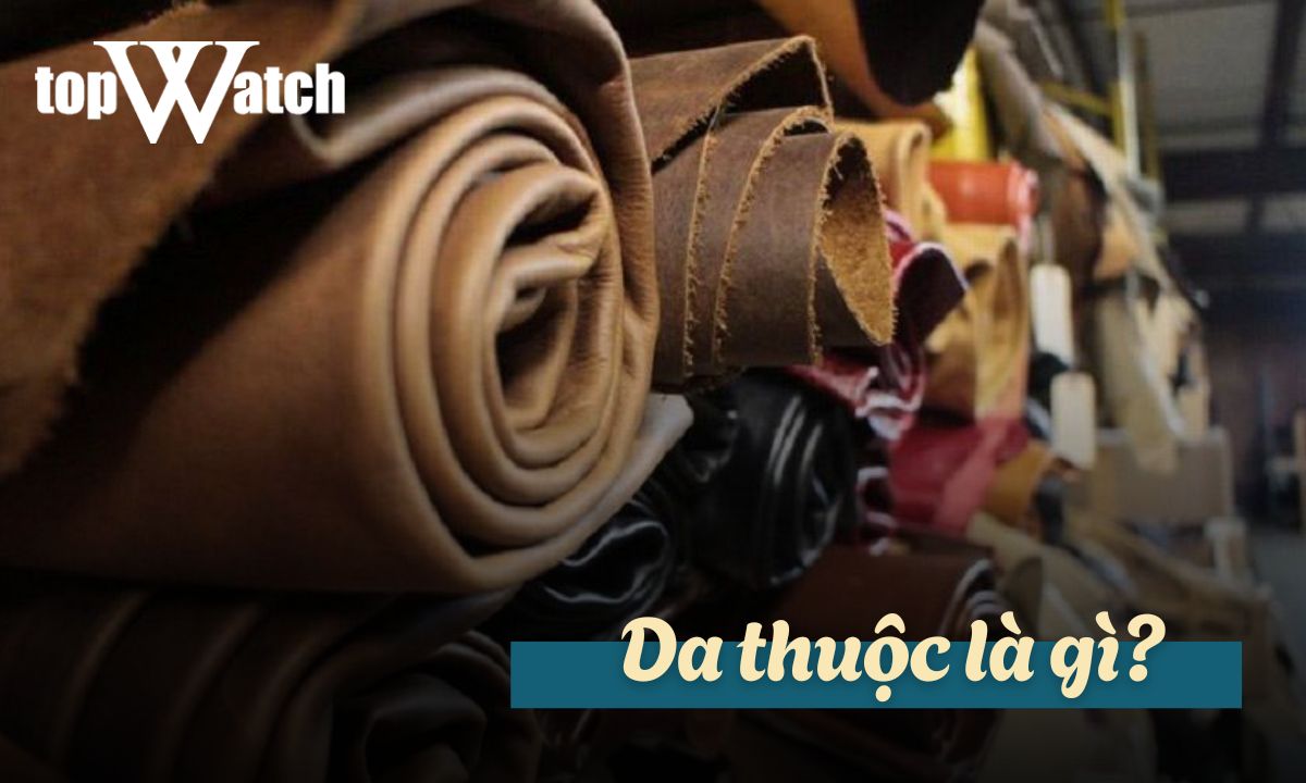 da thuộc là gì