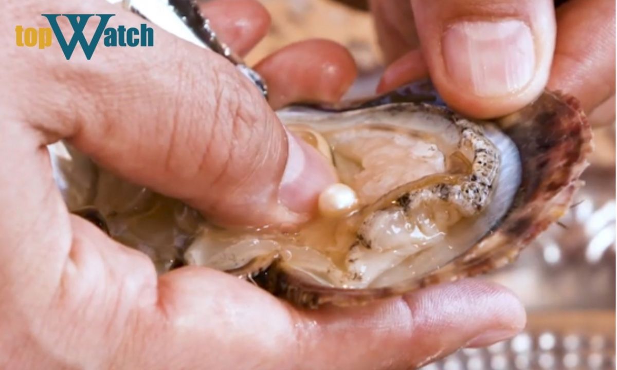 ngọc trai nhân tạo là gì