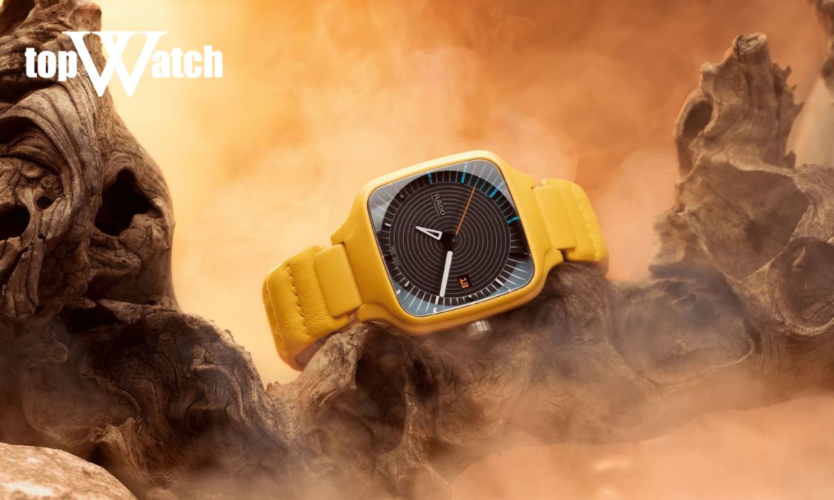 Đồng hồ Rado R27074155